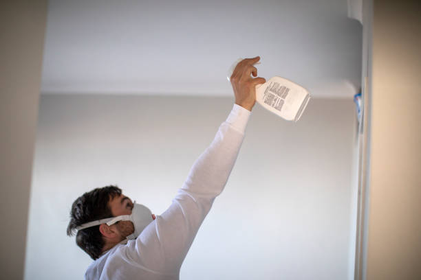 Best Mold Remediation  in Topanga, CA