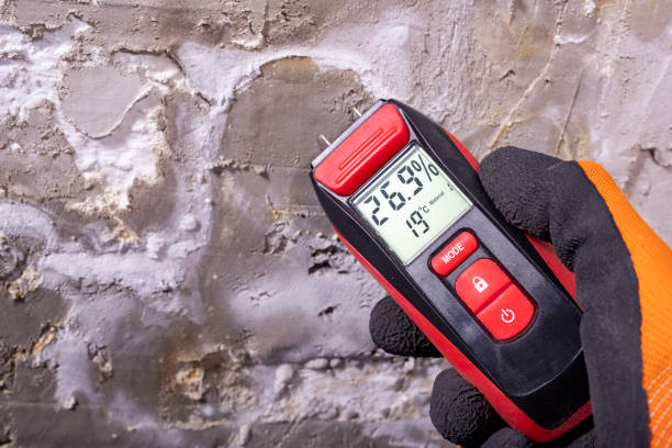 Best Mold Removal Company Near Me  in Topanga, CA