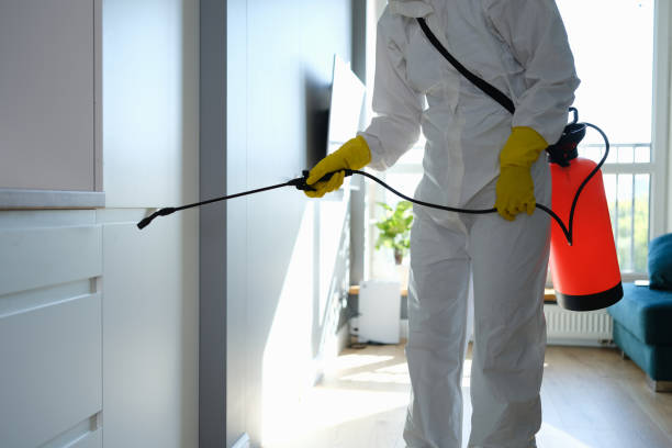 Topanga, CA Mold Removal Company