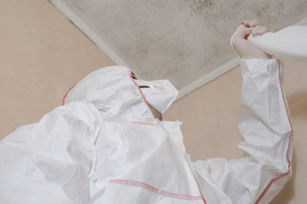 Best Home Mold Removal  in Topanga, CA