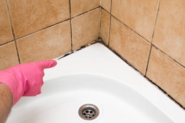 Best Mold Cleaning Services  in Topanga, CA
